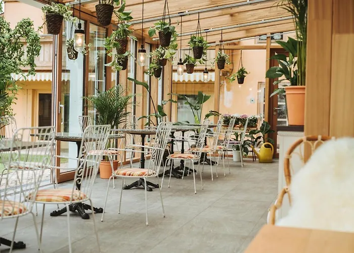 Henri Seefeld (adults Only)